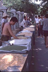 China 1984 pulse market